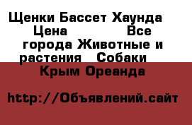 Щенки Бассет Хаунда  › Цена ­ 25 000 - Все города Животные и растения » Собаки   . Крым,Ореанда